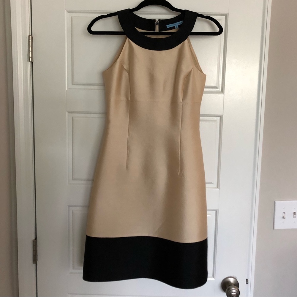 ❤️SALE❤️ Antonio Melani dress